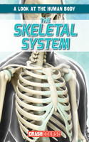 The Skeletal System: (A Look at the Human Body)