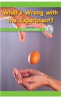 What's Wrong with the Experiment?