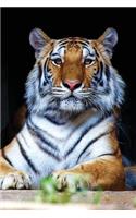 Tiger Notebook: Blank Journal Diary Log(45 Wildlife 150 Lined)