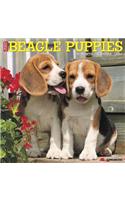 Just Beagle Puppies 2019 Wall Calendar (Dog Breed Calendar)