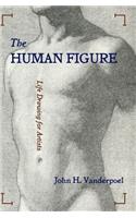 Human Figure