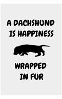 A Dachshund Is Happiness Wrapped in Fur