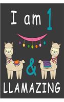 I Am 1 And Llamazing