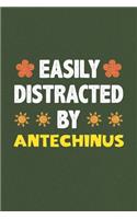 Easily Distracted By Antechinus: A Nice Gift Idea For Antechinus Lovers Funny Gifts Journal Lined Notebook 6x9 120 Pages