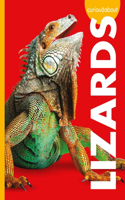 Curious about Lizards: (Curious about Pets)