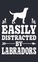 Easily Distracted By Labradors