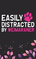 Easily Distracted by Weimaraner