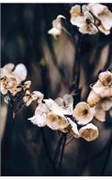 The Botanical Collection