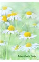 Daisies, Daisies, Daisies