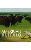 George Catlin's American Buffalo