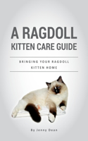 Ragdoll Kitten Care Guide