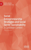 Social Entrepreneurship Strategies and Social Sector Sustainability