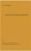 Infinite Linear Groups