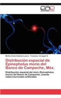 Distribucion Espacial de Epinephelus Morio del Banco de Campeche, Mex.