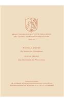 Die Struktur der Chloroplasten. Zum Mechanismus der Photosynthese
