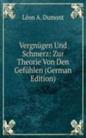 Vergnugen Und Schmerz: Zur Theorie Von Den Gefuhlen (German Edition)