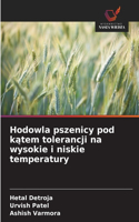 Hodowla pszenicy pod katem tolerancji na wysokie i niskie temperatury