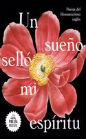 Un sueño selló mi espíritu / A Dream Sealed My Spirit: (POESÍA PORTÁTIL / Flash Poetry)