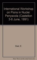 Pions In Nuclei - Proceedings Of The International Workshop