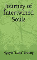 Journey of Intertwined Souls