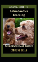 Amazing Guide To Labradoodles Breeding For Beginners And Dummies