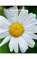 Beautiful Daisies Full-Color Picture Book