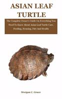 Asian Leaf Turtle