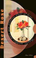 Desert Rose: Popular mistakes when you growing PLANT at home