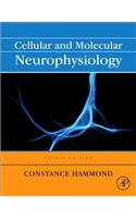 Cellular and Molecular Neurophysiology
