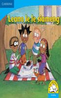 Leano le le siameng (Setswana): (Little Library Numeracy)