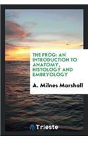 The Frog