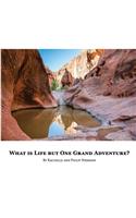 What is Life but One Grand Adventure?