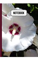 Notebook: Prise de notes, original & pratique de 110 pages lignées avec une couverture photo