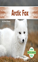 Arctic Fox