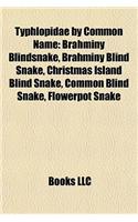 Typhlopidae by Common Name: Brahminy Blindsnake, Brahminy Blind Snake, Christmas Island Brahminy Blindsnake, Brahminy Blind Snake, Christmas Island Blind Snake, Common Blind Sn(English)