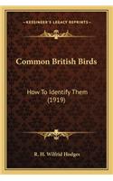 Common British Birds