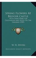 Spring Flowers at Belvoir Castle