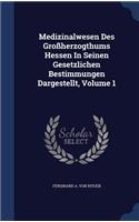 Medizinalwesen Des Großherzogthums Hessen In Seinen Gesetzlichen Bestimmungen Dargestellt, Volume 1