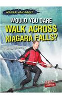 Would You Dare Walk Across Niagara Falls?