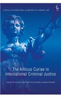 Amicus Curiae in International Criminal Justice