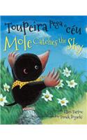 Mole Catches the Sky (Portuguese/English)