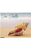 Sea Shells Calendar
