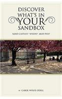 Discover What's in Your Sandbox