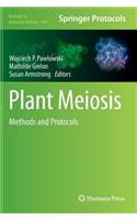 Plant Meiosis