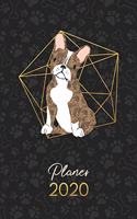 Planer 2020