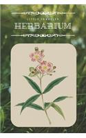 Little Traveler Herbarium