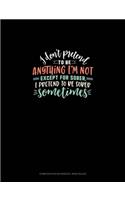 I Don't Pretend To Be Anything I'm Not Except For Sober, I Pretend To Be Sober Sometimes