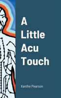 Little Acu Touch