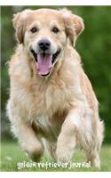 Golden Retriever Journal: 6 x 9 inch dog notebook, blank paper, golden retriever notebook, 200 pages