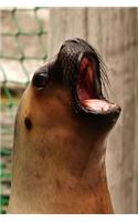 Adorable Seal Goes for the High Note at Zoo Karaoke Night Journal: 150 page lined notebook/diary
